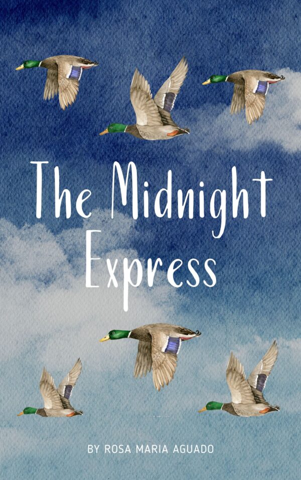 The Midnight Express